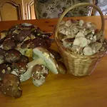 Królikówka Stronie Śląskie