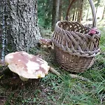 Królikówka Stronie Śląskie