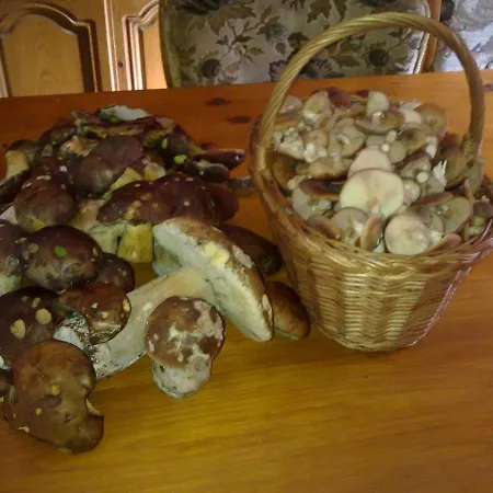 Krolikowka Stronie Śląskie