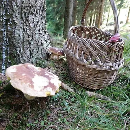 Krolikowka Stronie Slaskie