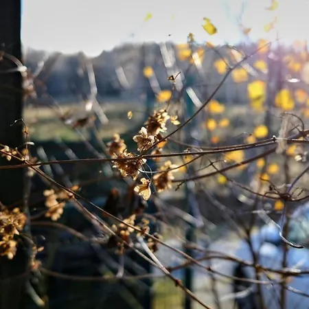 Ferienhaus Krolikowka *