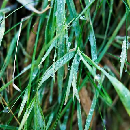 Ferienhaus Krolikowka Stronie Śląskie