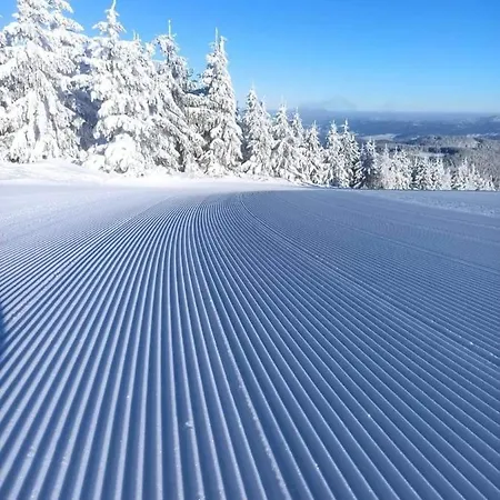 Ferienhaus Krolikowka *