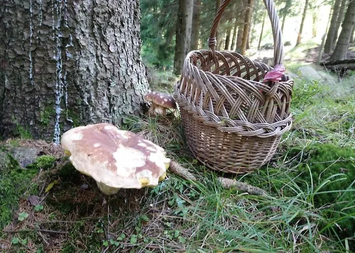 Krolikowka Stronie Śląskie