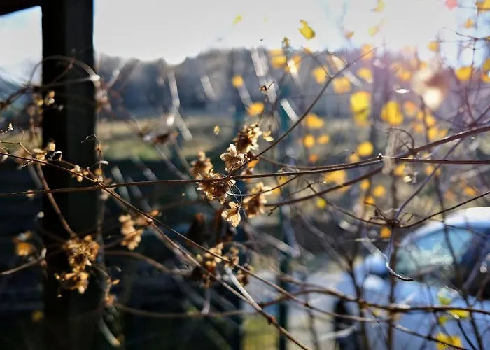 Ferienhaus Krolikowka *