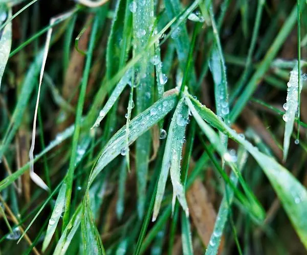 Ferienhaus Krolikowka Stronie Śląskie