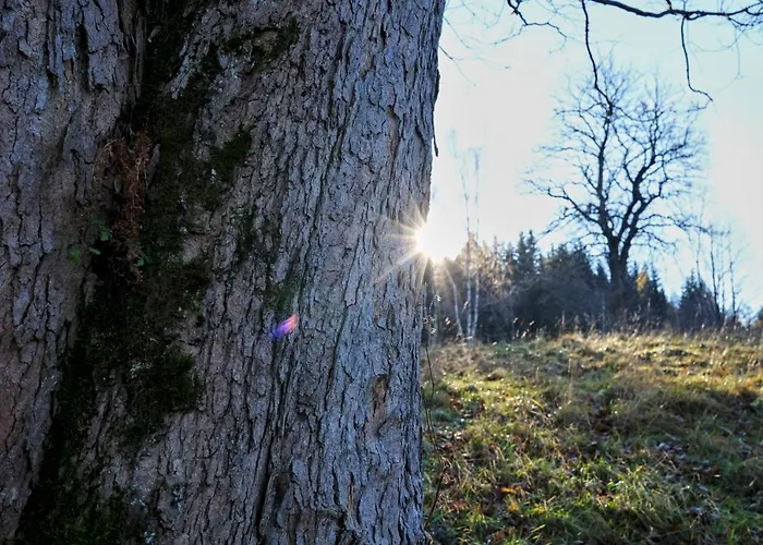 Krolikowka 別荘 Stronie Śląskie