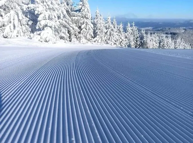 Ferienhaus Krolikowka *